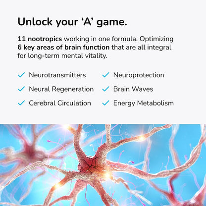 Mind Lab Pro® v4